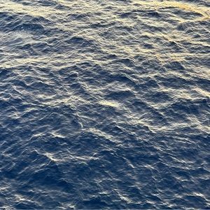 Meet your Posher, Wyatt